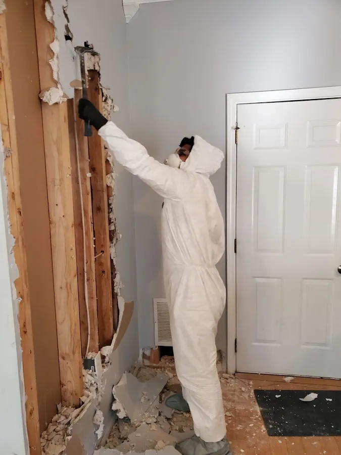 Mold Remediation & Removal in Mooresville, NC